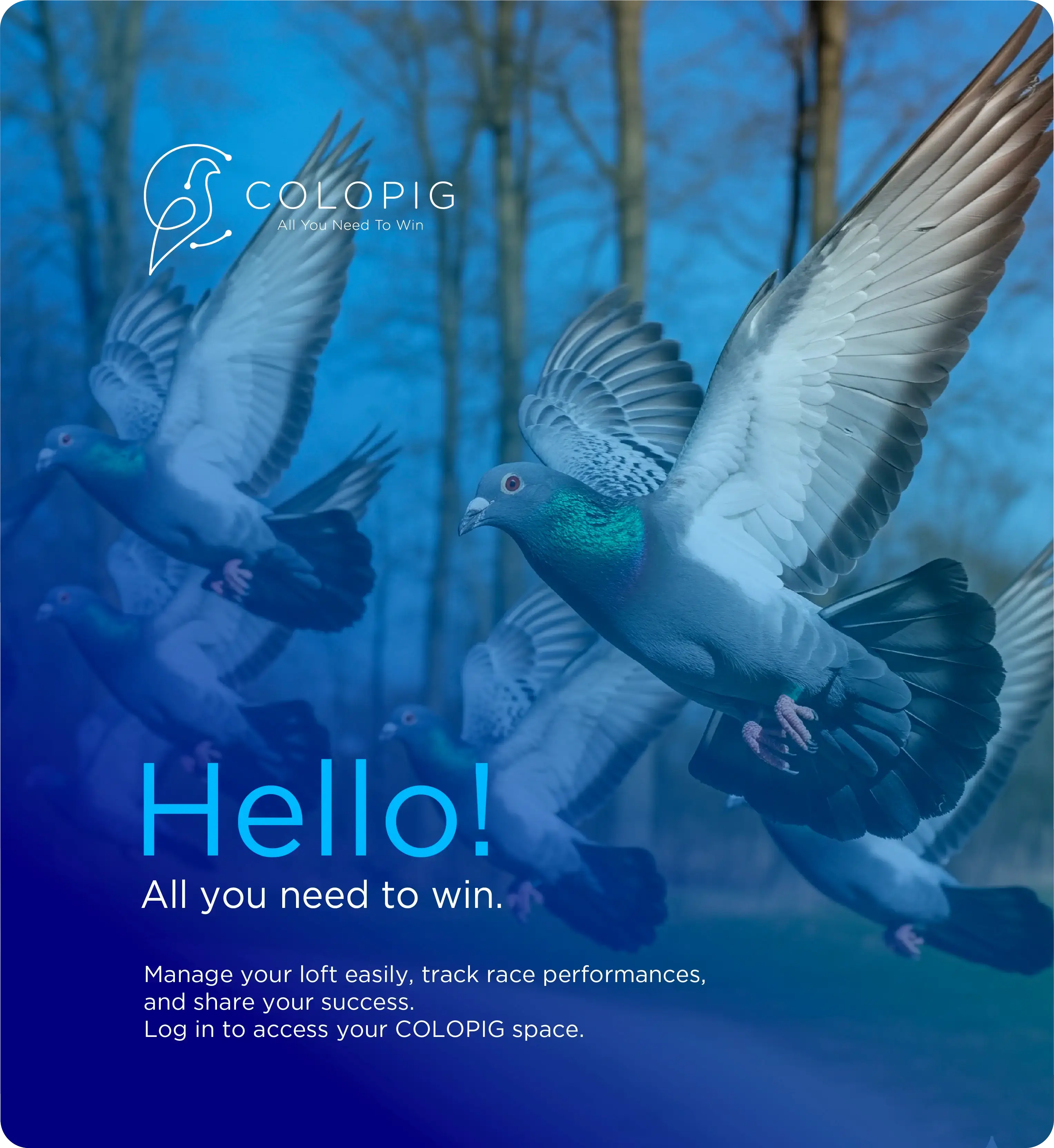 image login