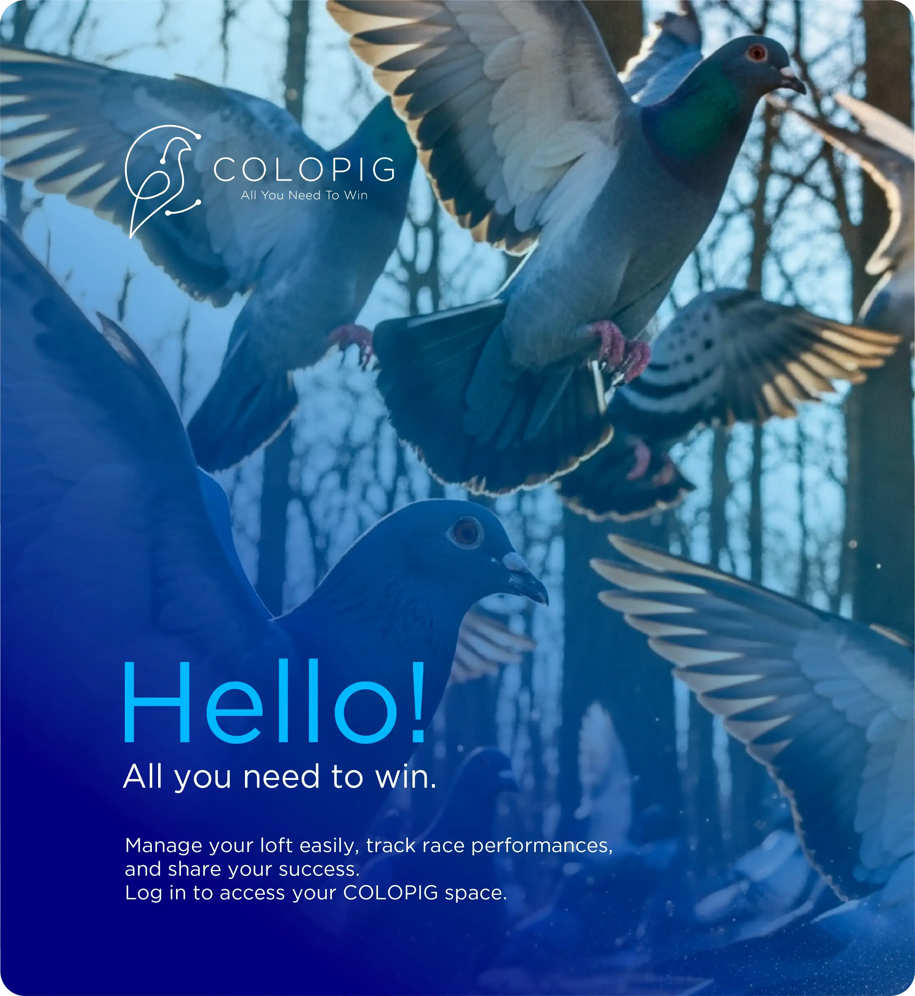 image signup